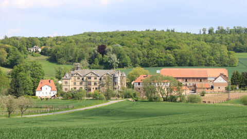 Trakehner Gestüt Elmarshausen bei Kassel Blick über das Trakehner Gestüt Elmarshausen in Nordhessen