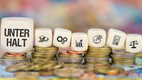 Unterhalt Ein großer Würfel mit der Aufschrift Unterhalt und weitere kleine Würfel mit Symbolen auf einem Münzenstapel.